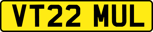 VT22MUL