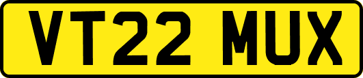 VT22MUX