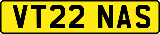 VT22NAS