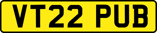 VT22PUB