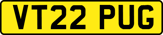 VT22PUG