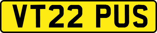 VT22PUS