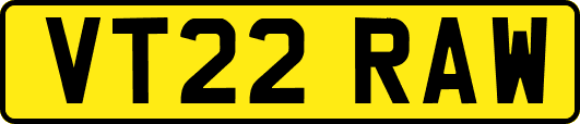 VT22RAW