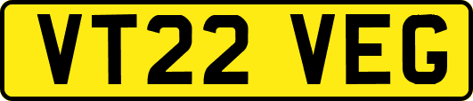 VT22VEG