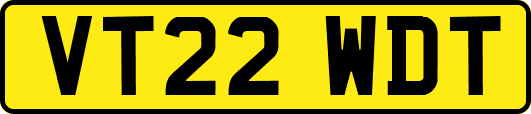 VT22WDT