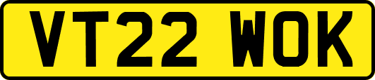 VT22WOK