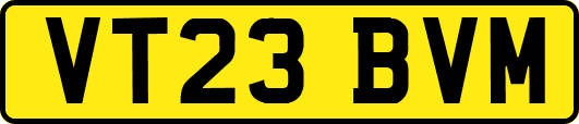VT23BVM