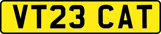 VT23CAT