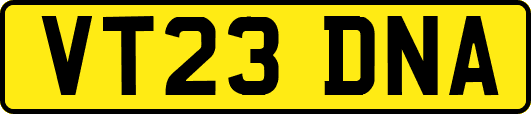 VT23DNA