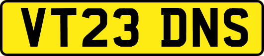 VT23DNS