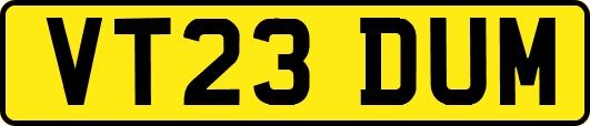 VT23DUM