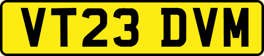 VT23DVM