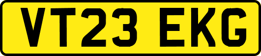 VT23EKG