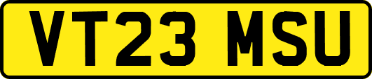 VT23MSU