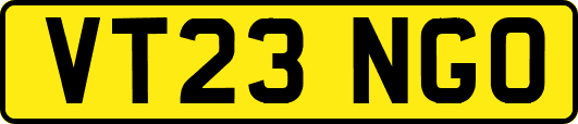 VT23NGO