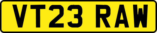 VT23RAW