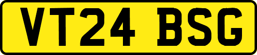 VT24BSG
