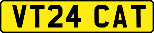 VT24CAT