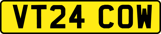 VT24COW
