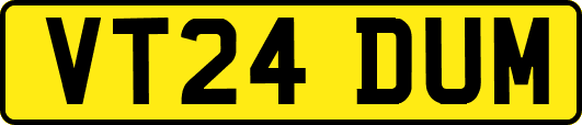 VT24DUM