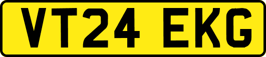 VT24EKG