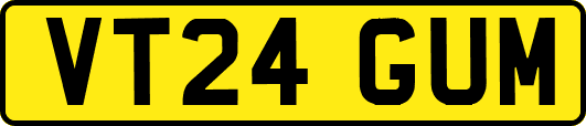 VT24GUM