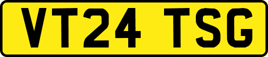 VT24TSG