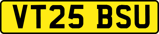 VT25BSU