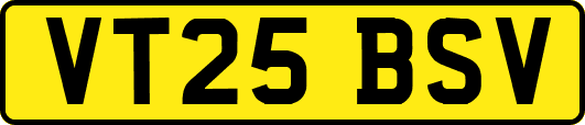 VT25BSV