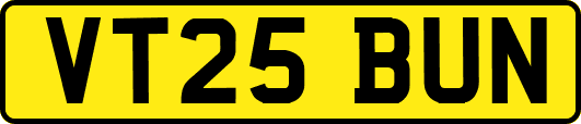 VT25BUN