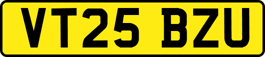 VT25BZU