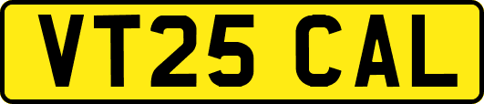 VT25CAL