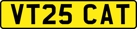 VT25CAT