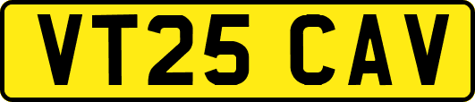 VT25CAV