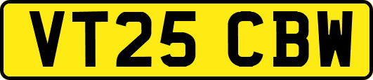 VT25CBW