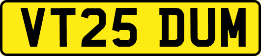 VT25DUM