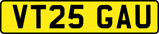 VT25GAU