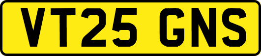 VT25GNS