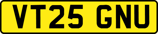 VT25GNU