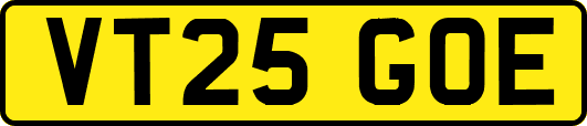 VT25GOE