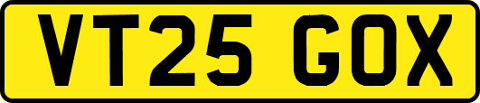 VT25GOX