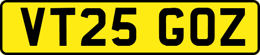 VT25GOZ