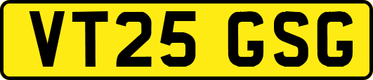VT25GSG