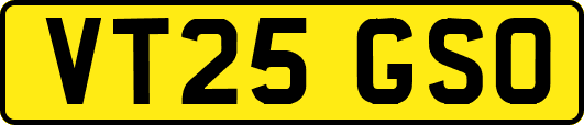 VT25GSO