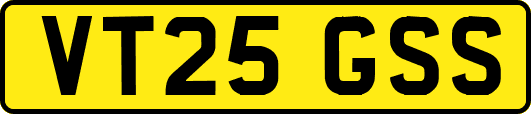 VT25GSS