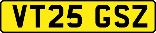 VT25GSZ