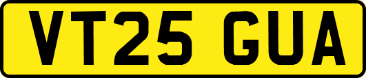 VT25GUA