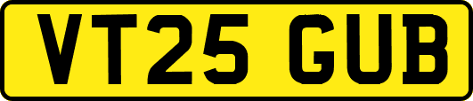 VT25GUB