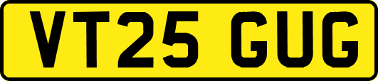 VT25GUG