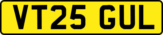 VT25GUL